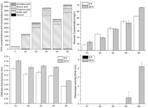 青島能源所創新方法顯著提升纖維素生物質厭氧發酵沼氣產量